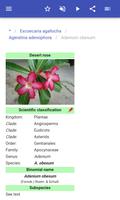 Noxious plants اسکرین شاٹ 3