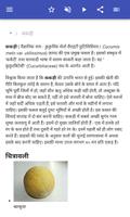 कद्दू स्क्रीनशॉट 1