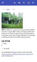 कद्दू स्क्रीनशॉट 2