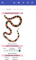 2 Schermata Serpenti