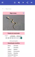 Baixar Snakes APK