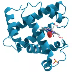 Enzymes XAPK download