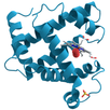 Enzymes APK