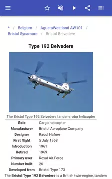Screenshot 15 for Helicopters