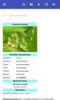 Plant diseases ภาพหน้าจอ 1