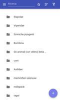 Poster Animali velenosi