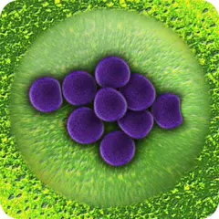 Bacteria APK download