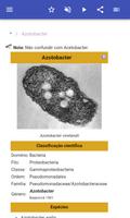Bactérias imagem de tela 1