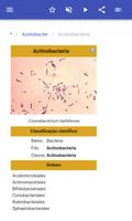 Bactérias imagem de tela 2