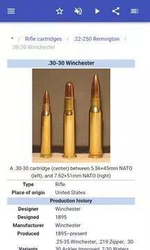 Screenshot 4 for Ammunition