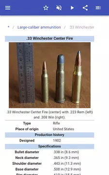 Screenshot 8 for Ammunition
