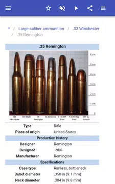 Screenshot 9 for Ammunition