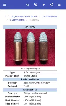 Screenshot 10 for Ammunition