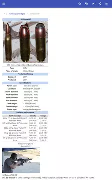 Screenshot 13 for Ammunition