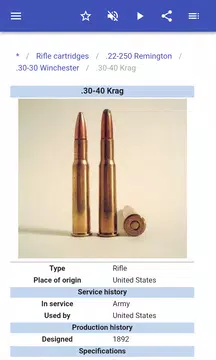 Screenshot 5 for Ammunition