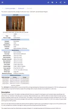 Screenshot 14 for Ammunition