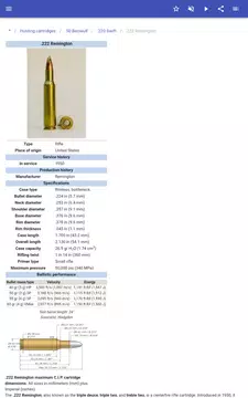 Screenshot 15 for Ammunition