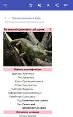 Скачать Пресмыкающиеся по регионам XAPK