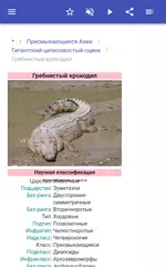 Скачать Пресмыкающиеся по регионам XAPK