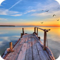 Dock Wallpaper