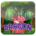 Dragon Fruit