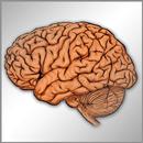 Neurologia en preguntas cortas APK