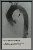 Radiology radiographs of exams captura de pantalla 1