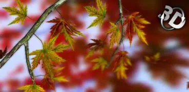 Autumn Leaves Wallpaper