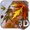 Autumn Leaves Wallpaper APK