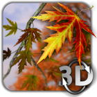 Autumn Leaves icon