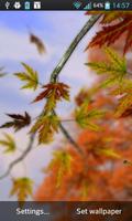 Autumn Leaves penulis hantaran
