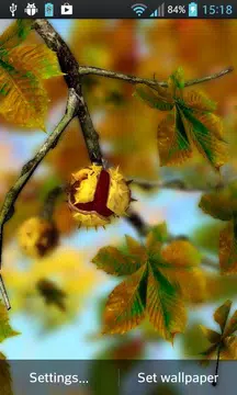 Screenshot 1 for Autumn Leaves in HD Gyro 3D XL