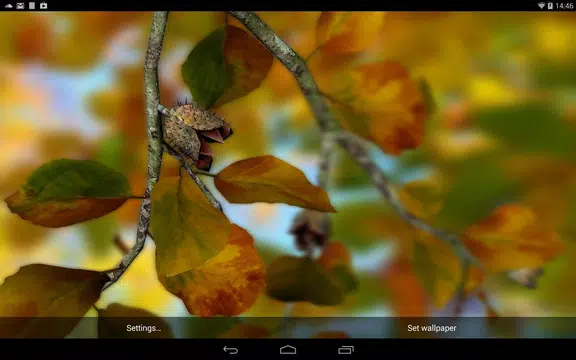 Screenshot 8 for Autumn Leaves in HD Gyro 3D XL