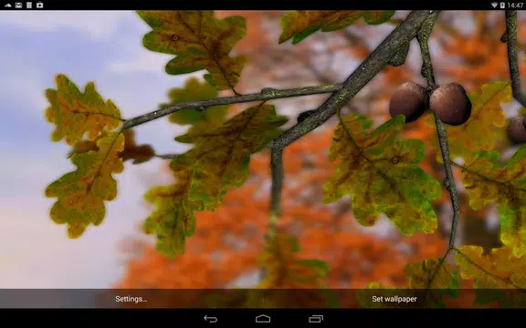 Screenshot 13 for Autumn Leaves in HD Gyro 3D XL