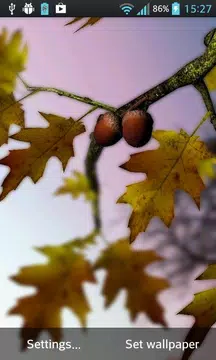 Screenshot 3 for Autumn Leaves in HD Gyro 3D XL