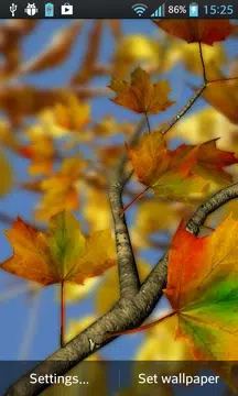 Screenshot 4 for Autumn Leaves in HD Gyro 3D XL