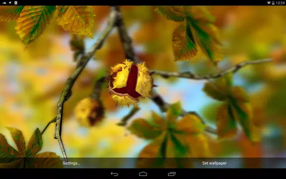 Screenshot 15 for Autumn Leaves in HD Gyro 3D XL