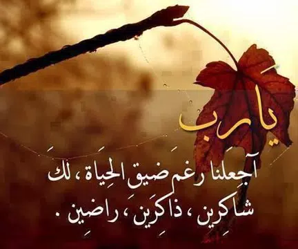 Screenshot 7 for أدعية إسلامية تهز القلوب