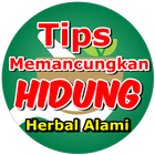 Cara Cepat Memancungkan Hidung أيقونة