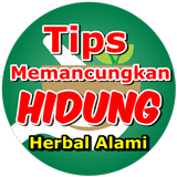 Cara Cepat Memancungkan Hidung أيقونة