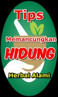 Cara Cepat Memancungkan Hidung الملصق