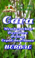 Cara Membesarkan Payudara Paling Cepat تصوير الشاشة 1