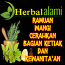 Cara Memutihkan Daerah Kewanitaan cara Alami APK