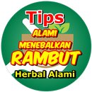 Cara Menebalkan Rambut Secara Alami APK