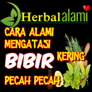 Cara Mengatasi Bibir Kering dan Pecah Pecah Alami APK