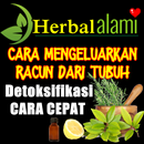 APK Cara Cepat Mengeluarkan Racun Dari Tubuh