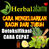 Cara Cepat Mengeluarkan Racun  icono