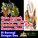 Doa Dan Cara Menghilangkan Ketombe Secara Alami APK