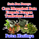Cara Mengobati Batu Empedu Alami Dan Tradisional APK
