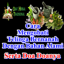 Mengobati Telinga Bernanah Secara Herbal Alami APK